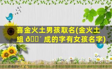 喜金火土男孩取名(金火土组 🐴 成的字有女孩名字)